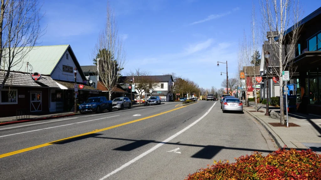 A quiet small-town street with shops, parked cars, bare trees, and clear blue sky on a sunny day.