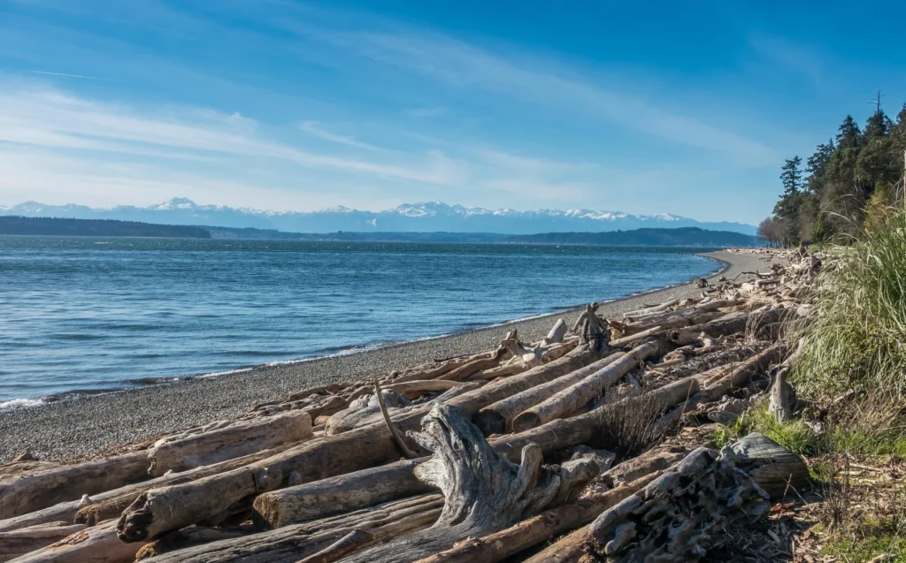 A rocky beach covered with driftwood logs, bordered by blue water and distant snow-capped mountains under a clear sky.