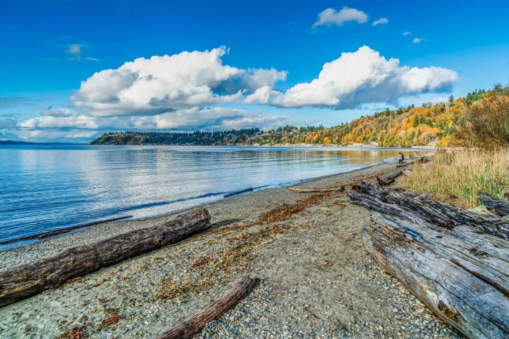 A sandy beach with driftwood logs, calm blue water, and a tree-lined shoreline under a bright sky with scattered clouds.