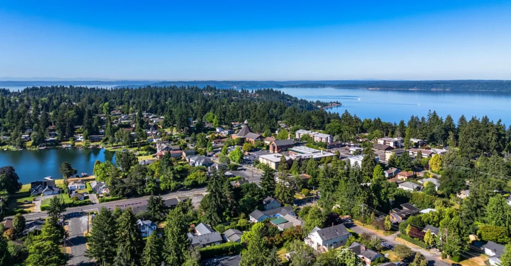 Aerial view of a suburban neighborhood with houses, trees, and a large body of water in the background under a clear blue sky.